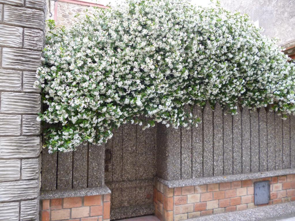 Chambres D'Hotes La Rose Des Vents Ginestas Екстериор снимка