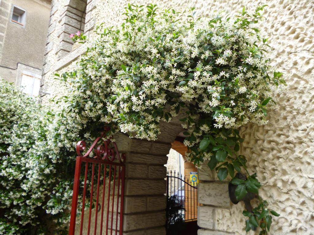Chambres D'Hotes La Rose Des Vents Ginestas Екстериор снимка
